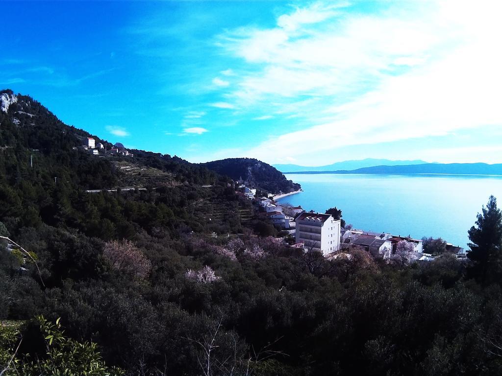 Borovik Guest House Živogošće Dış mekan fotoğraf